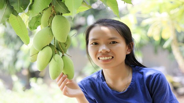 Bến Tre không tổ chức lễ hội trái cây ngon 2016 do hạn, mặn